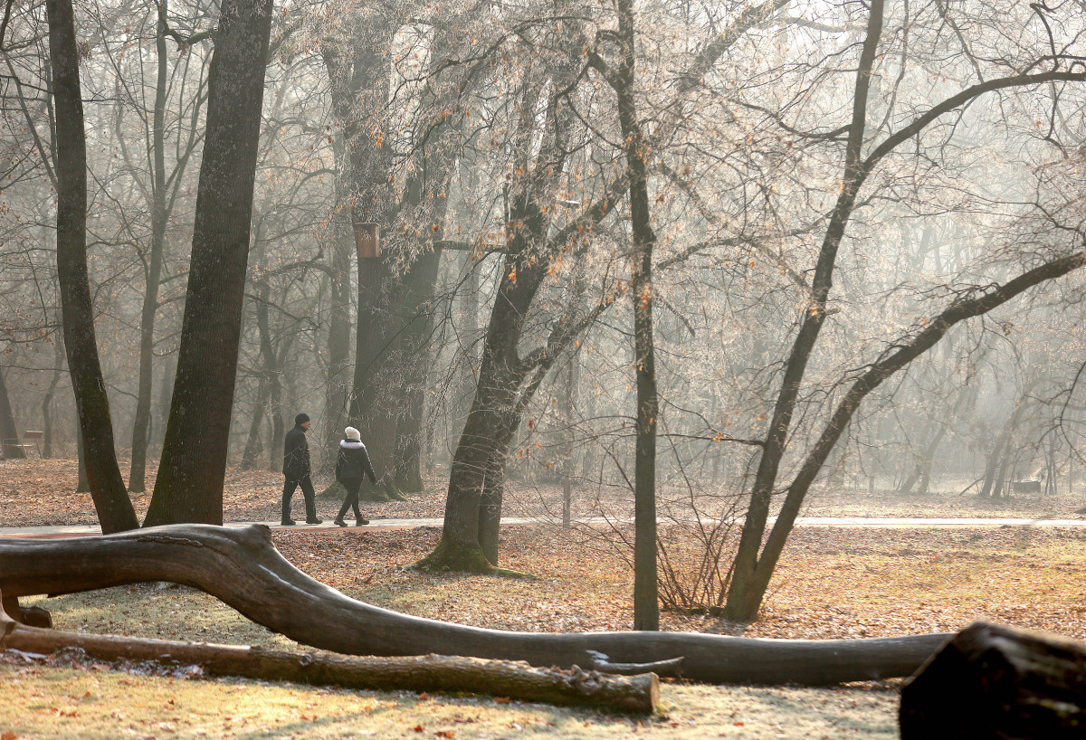 Szeged, fagy, tél, időjárás, futó, séta, újszeged, liget, hideg, park, természet